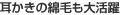 耳かきの綿毛も大活躍