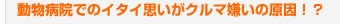 動物病院でのイタイ思いがクルマ嫌いの原因！？