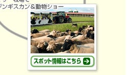 AM 11:00 マザー牧場でジンギスカン＆動物ショー　スポット情報はこちら