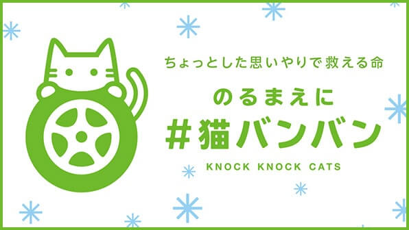 のるまえに #猫バンバン
