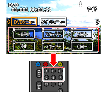 JAV1281_1