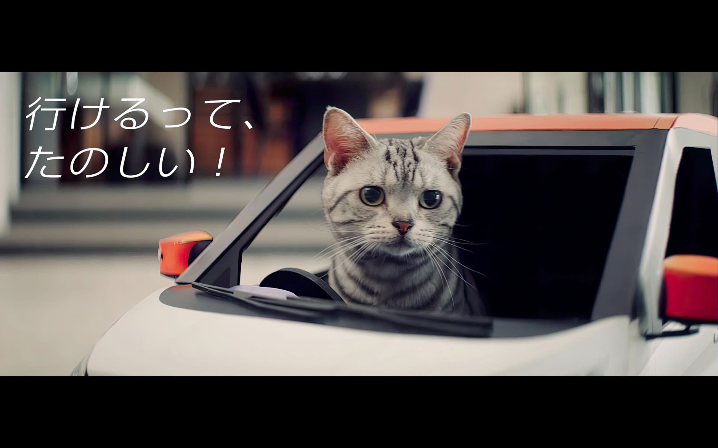 にゃっさんデイズ ねこ用日産軽自動車 日産