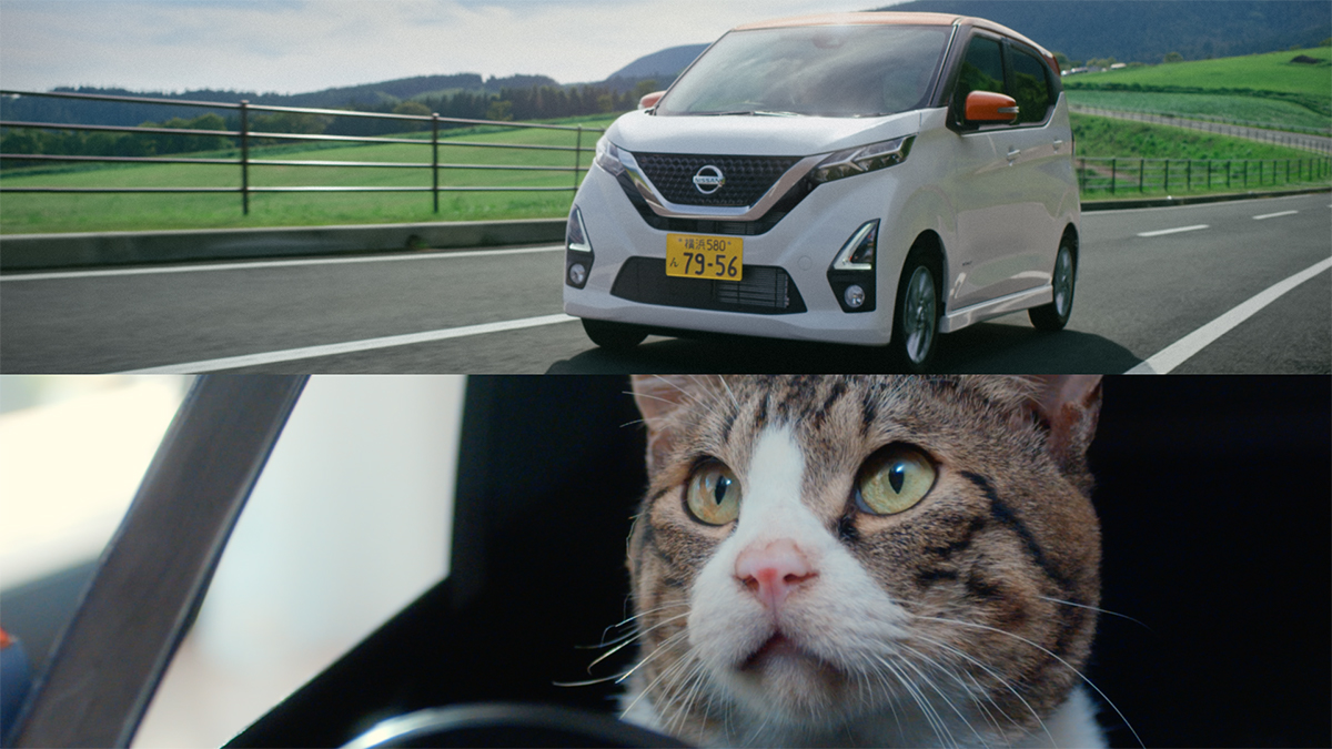 日産が猫用軽自動車を開発!? 100名にプレゼント中 | 猫13匹+犬1匹と寝て暮らす、ときどき社会学者