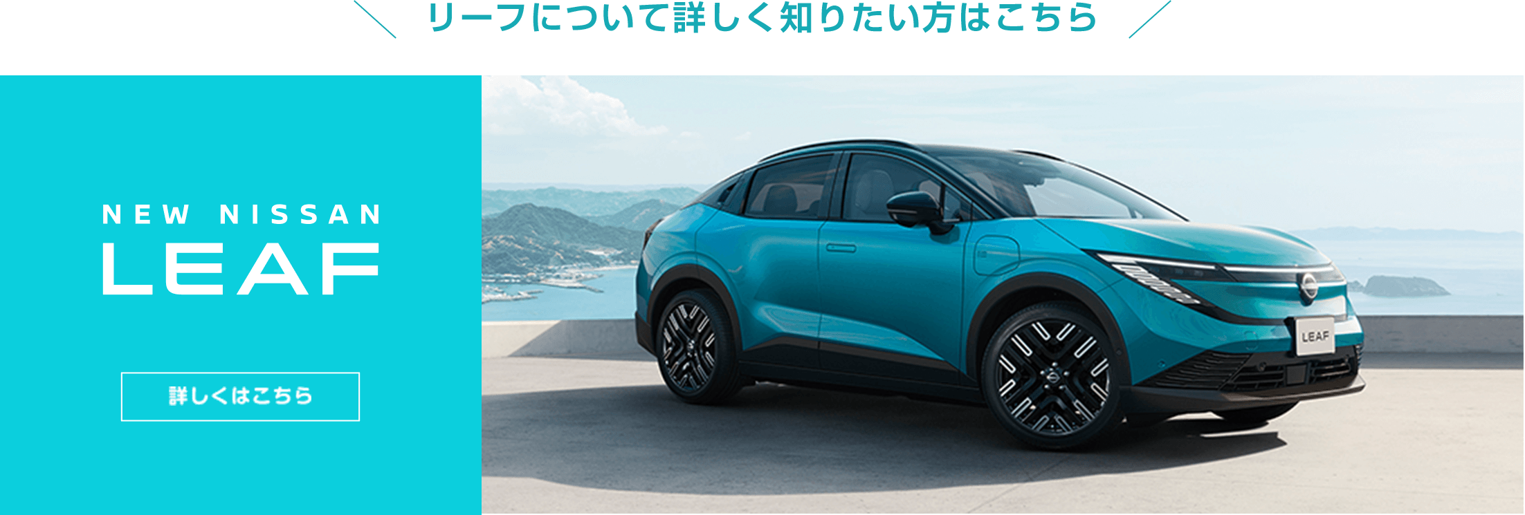 リーフについて詳しく知りたい方はこちら