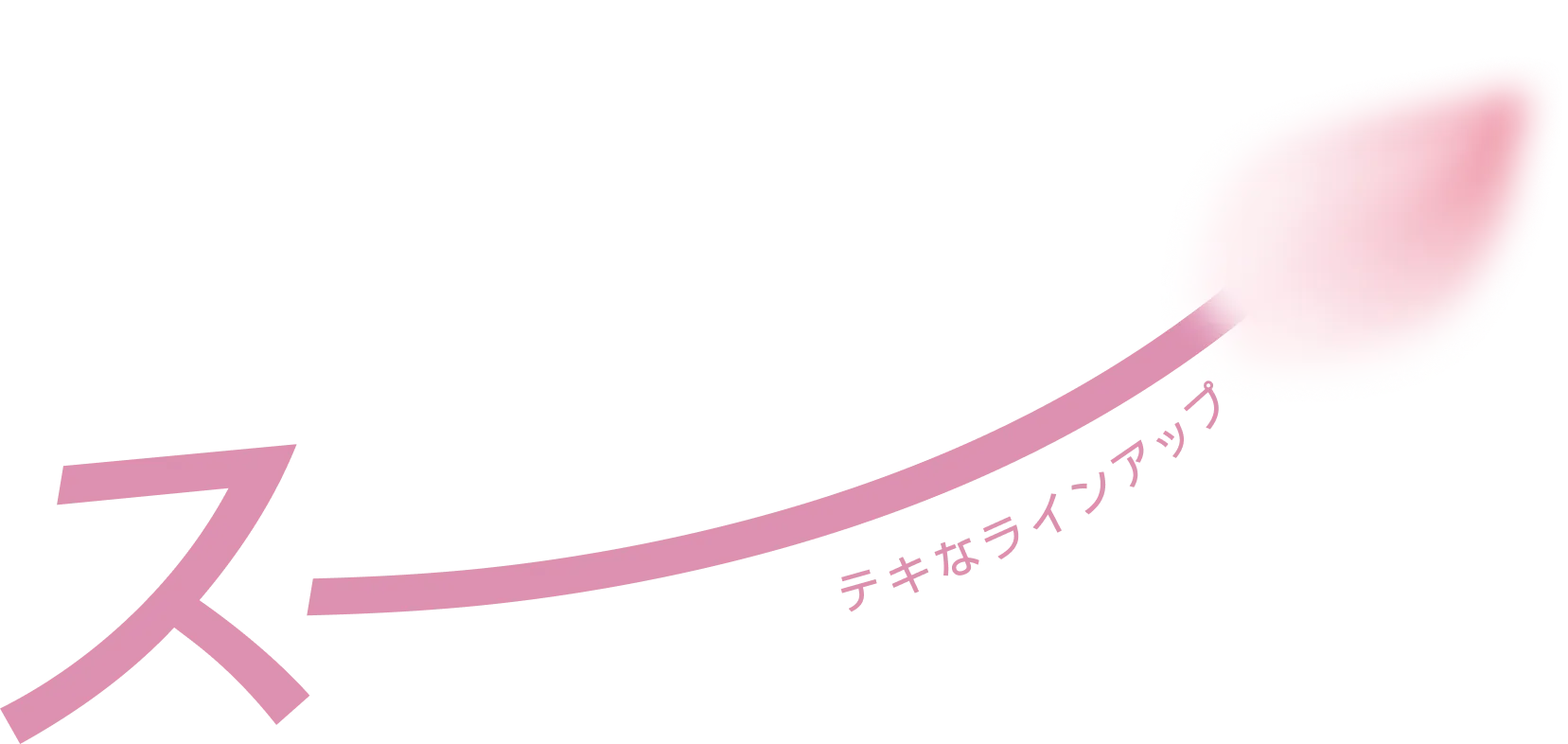 スーテキなラインアップ