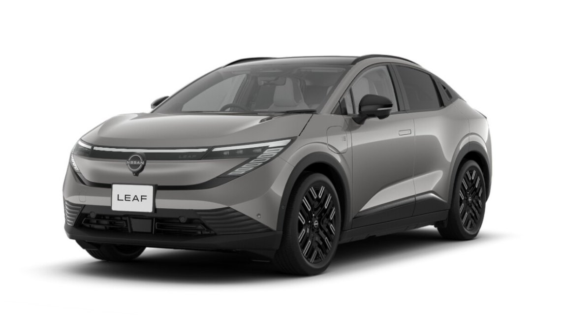 シェルブロンド（M）