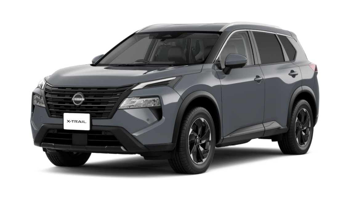 ステルスグレー（P）