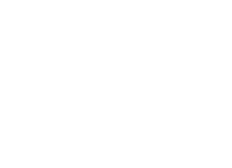 動画を見る